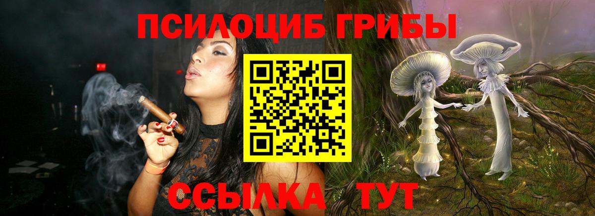 Славгород  Псилоцибиновые грибы Magic Shrooms  наркошоп  Вход с VPN 