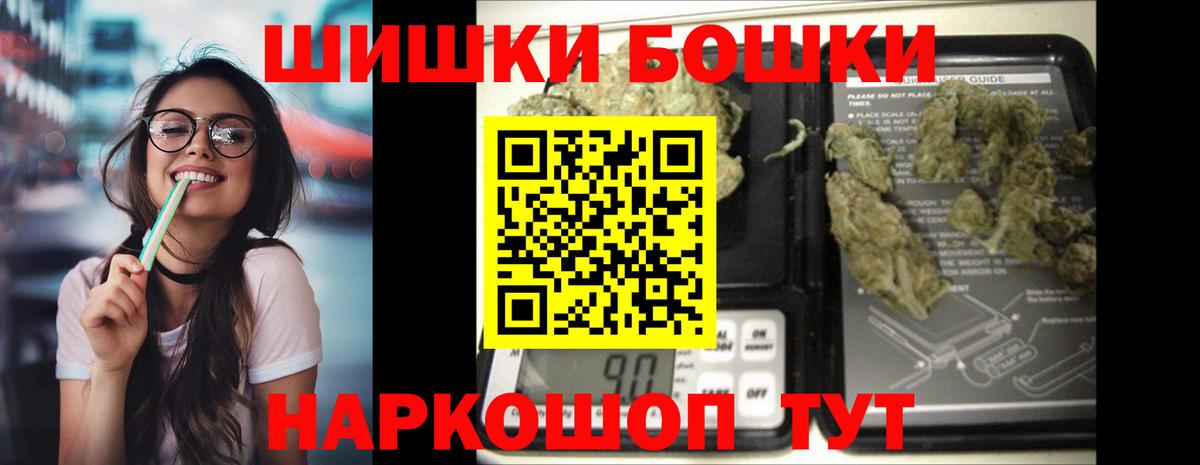 Бошки Шишки планчик Славгород